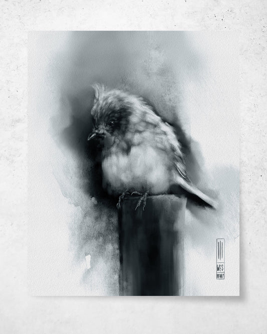 Bird Study