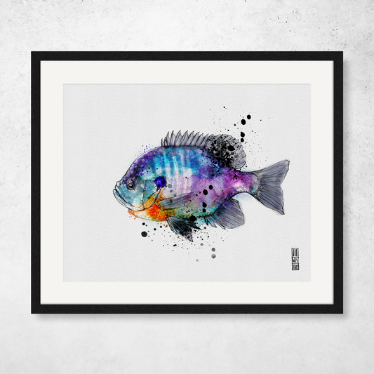 Bluegill