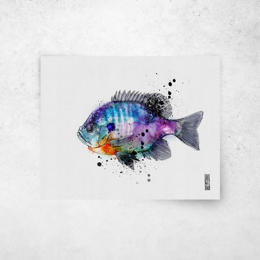 Bluegill