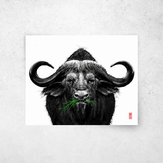 Cape Buffalo
