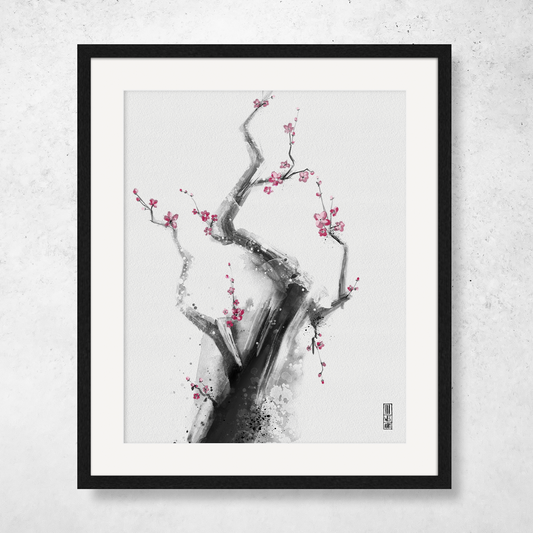 Cherry Blossom Study #2