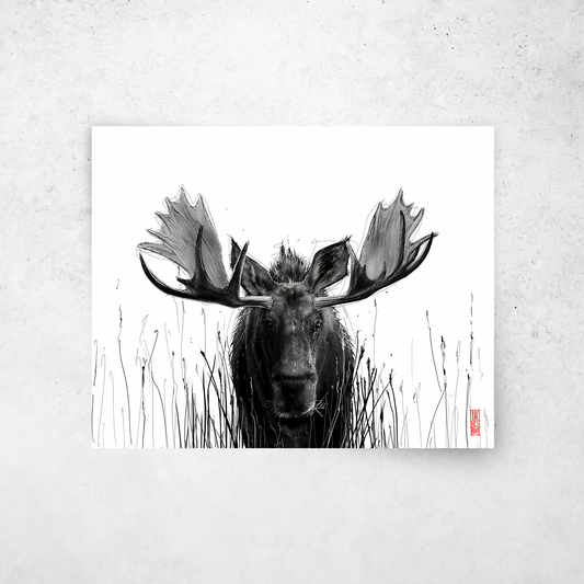 Moose #1