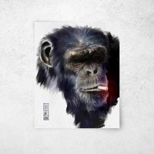 Smokin' Chimp #2 | Natural