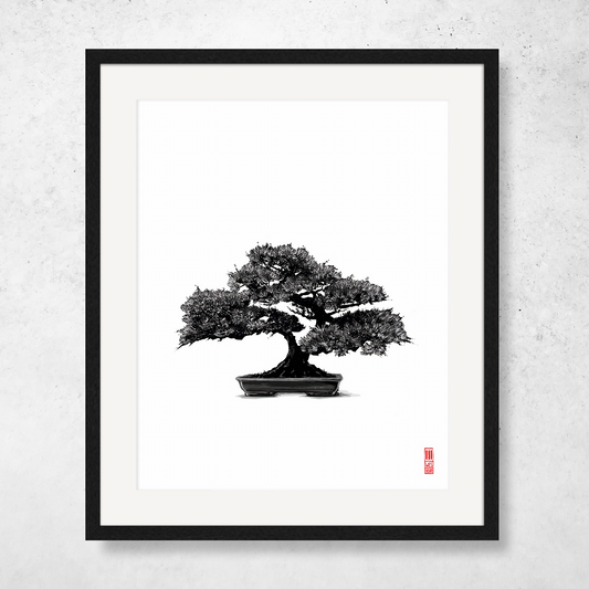 Bonsai #1