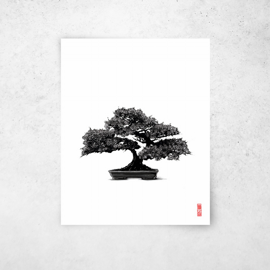 Bonsai #1