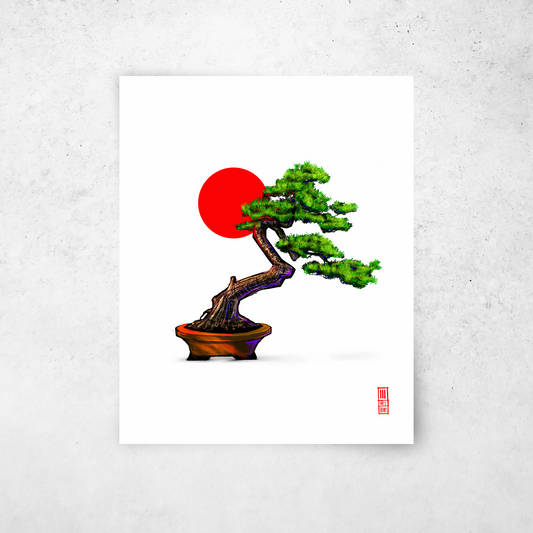Bonsai #2