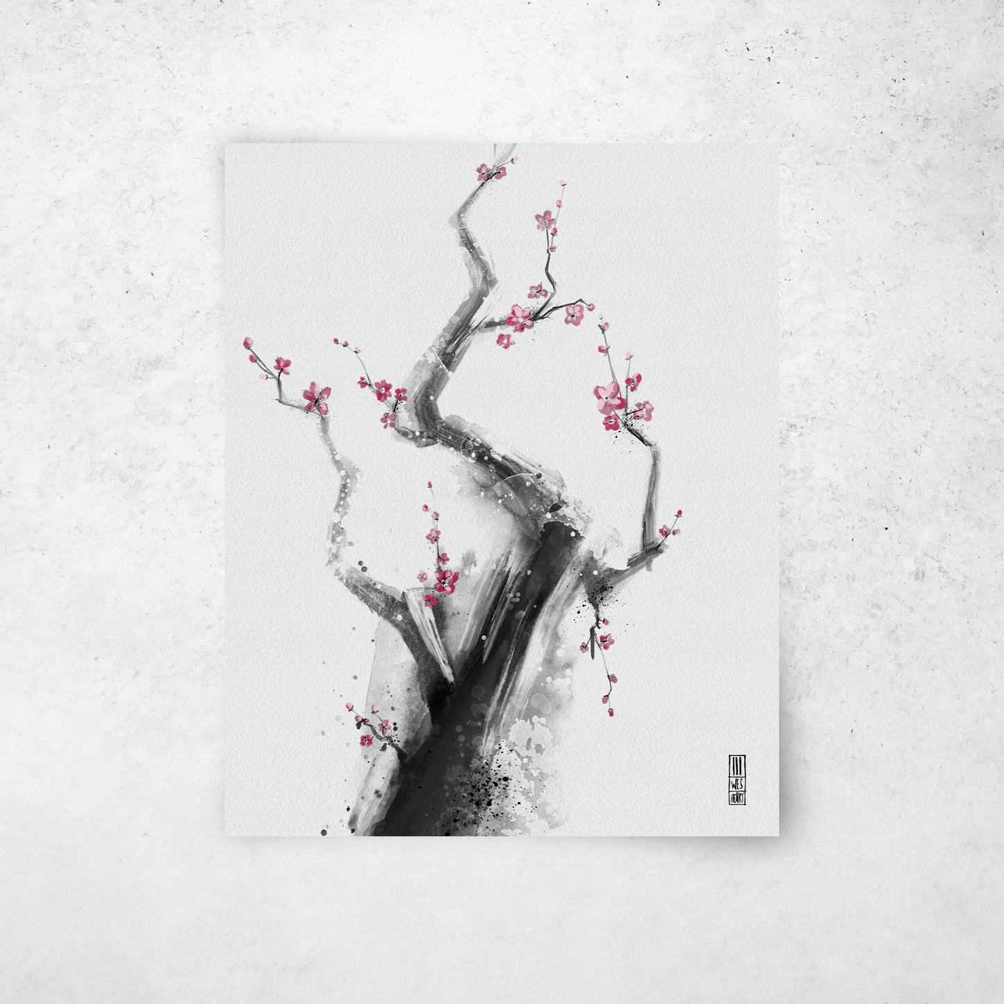 Cherry Blossom Study #2